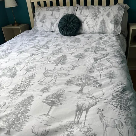 Apartment Scarr View 1st Floor A98w710