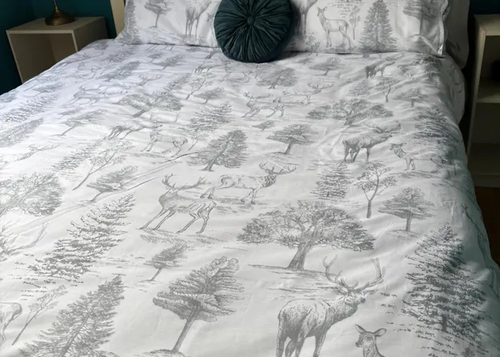 Apartman Scarr View 1st Floor A98w710